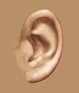Nutresin Herbapure Ear